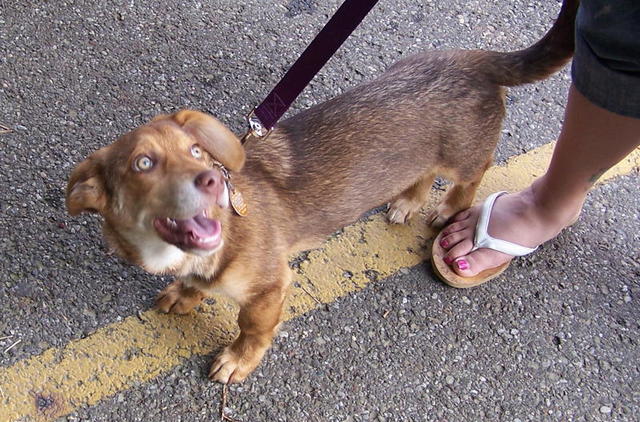 100_9082.JPG