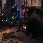 IMG_1699.JPG
