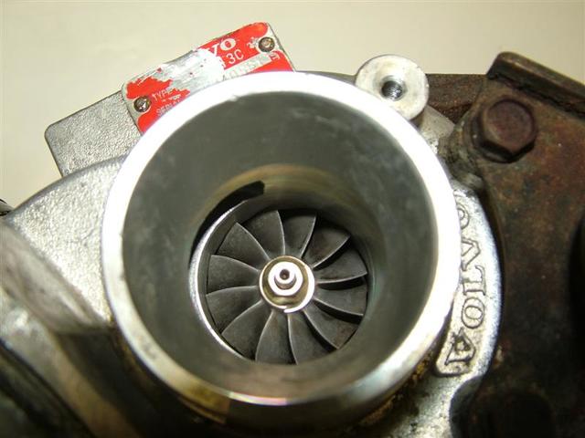 DSCF2625 (Medium)