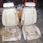 DSCF1387.JPG